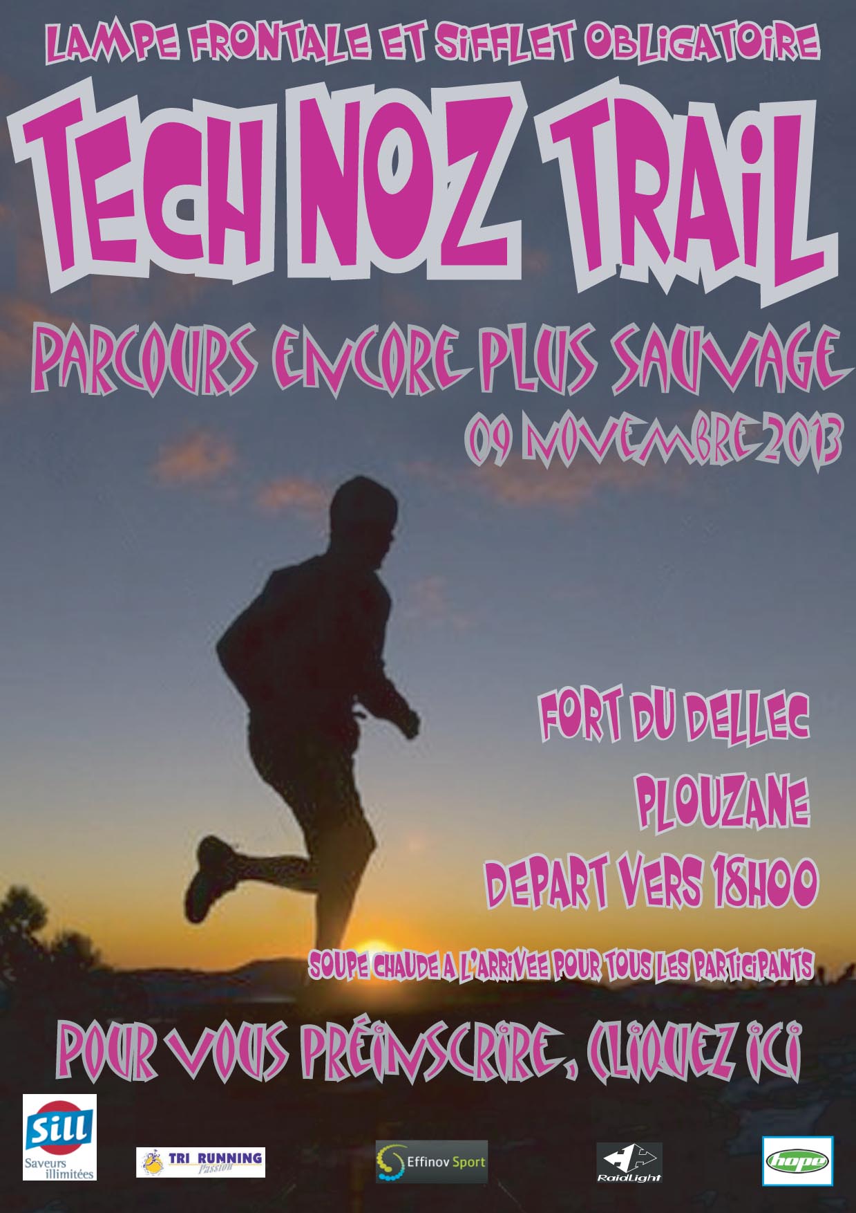 Affiche TNT 2013 copier